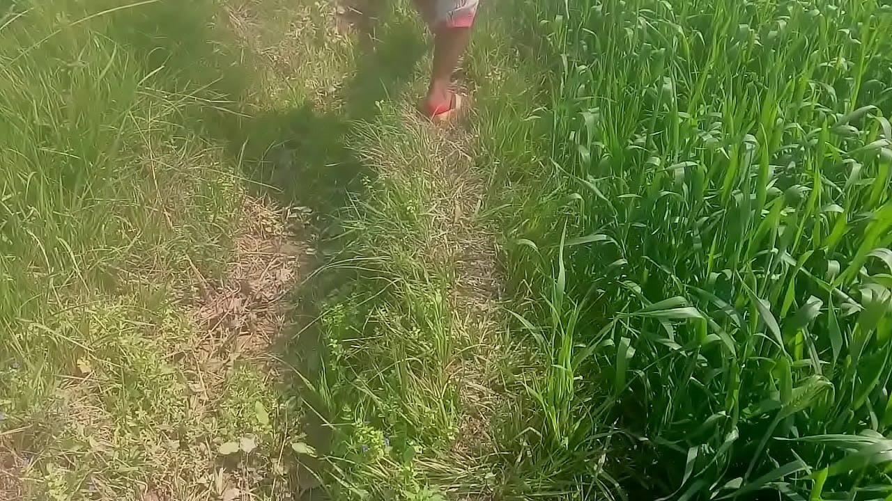 Everbest Indian Desi Aunty Enjoy Sex Outdoor With Young Boy